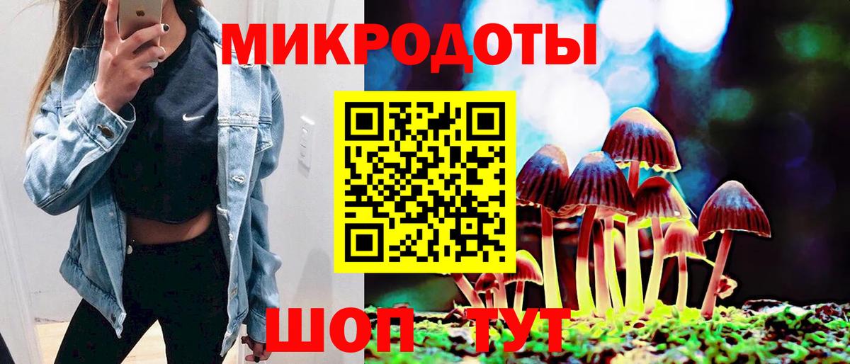 Галлюциногенные грибы Psilocybine cubensis Магадан