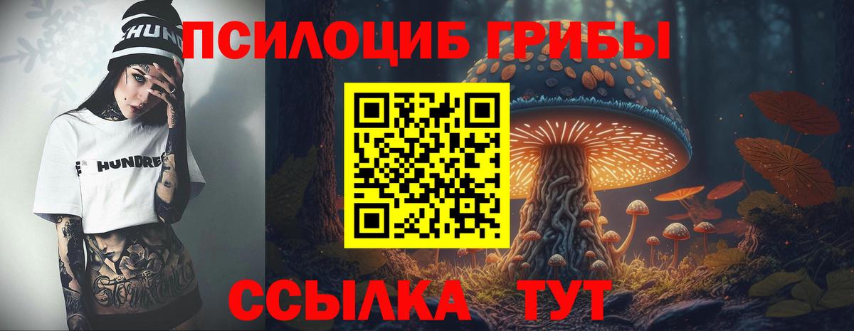 Псилоцибиновые грибы Magic Shrooms  продажа наркотиков  Магадан  Вход с VPN 